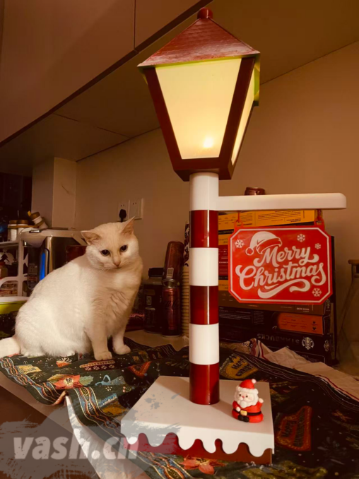3D 打印圣诞小路灯~3D printed christmas street lamp
